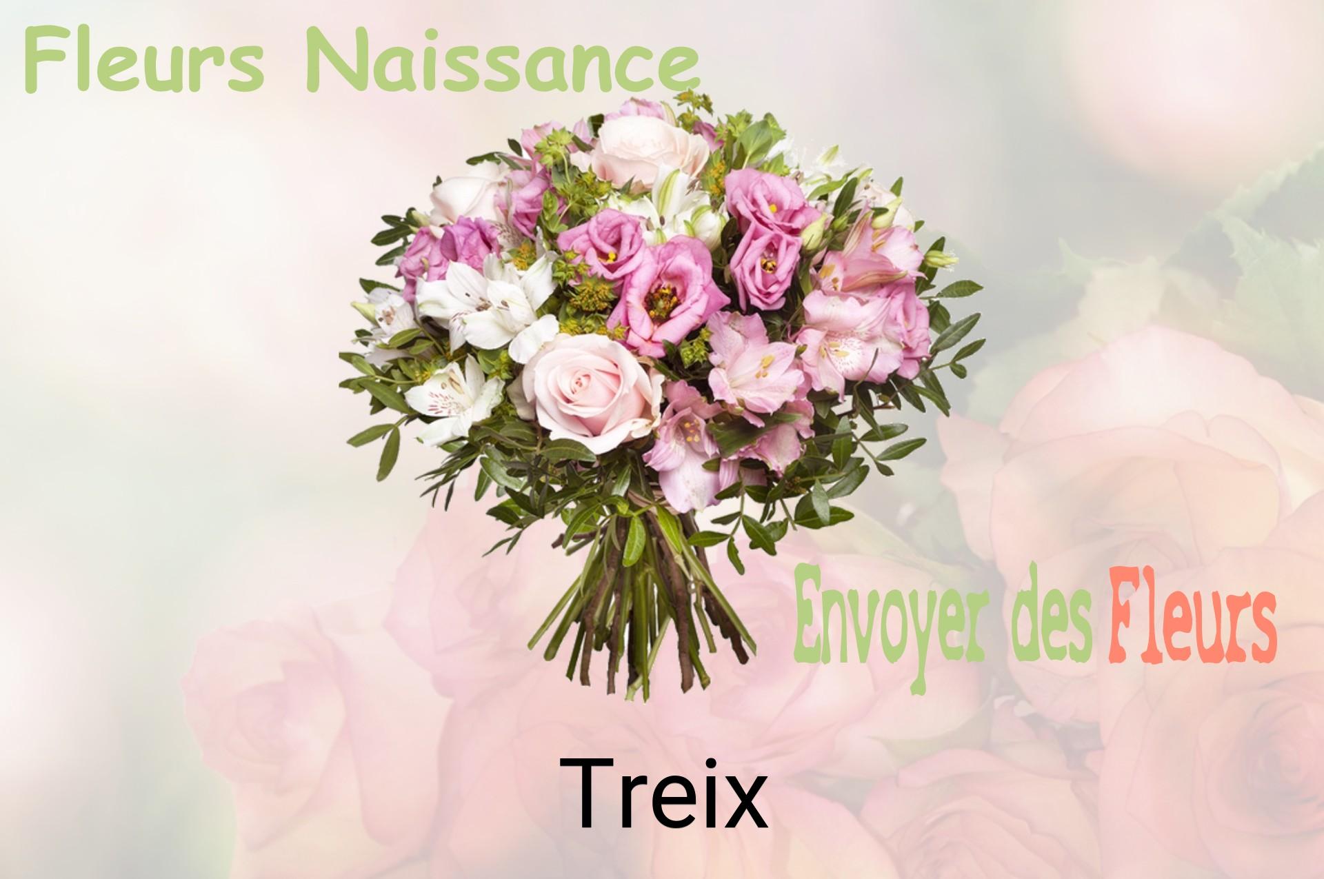 Bouquet de fleurs de naissance livré à Treix
